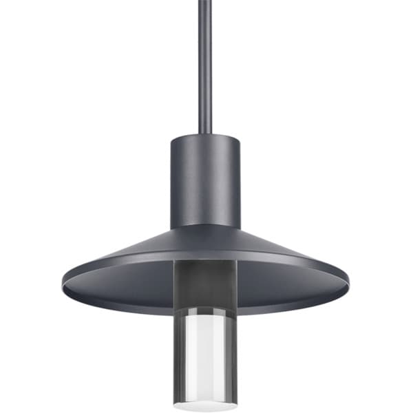 Ash 12 Outdoor Pendant