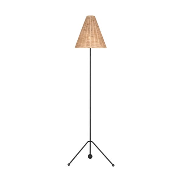 AET1171AIBRTN1